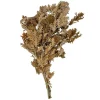 Naturosphère Feuillage De Chêne Brun Stabilisé – 60 à 70 Cm. REMISE allant jusqu. 7