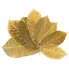 grande promotion Naturosphère Feuilles Leaf Stripes – 14 à 20 Cm – Lot De 25. 14
