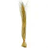 grande marque pas cher Naturosphère Herbe D’ours – 70 Cm. 10