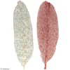 soldes luxe Plume Déco Artemio – Isatis – 6 Pcs 8