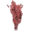 Officielle Naturosphère Quercus Ilex Rouge Stabilisé – 90 Cm. 7
